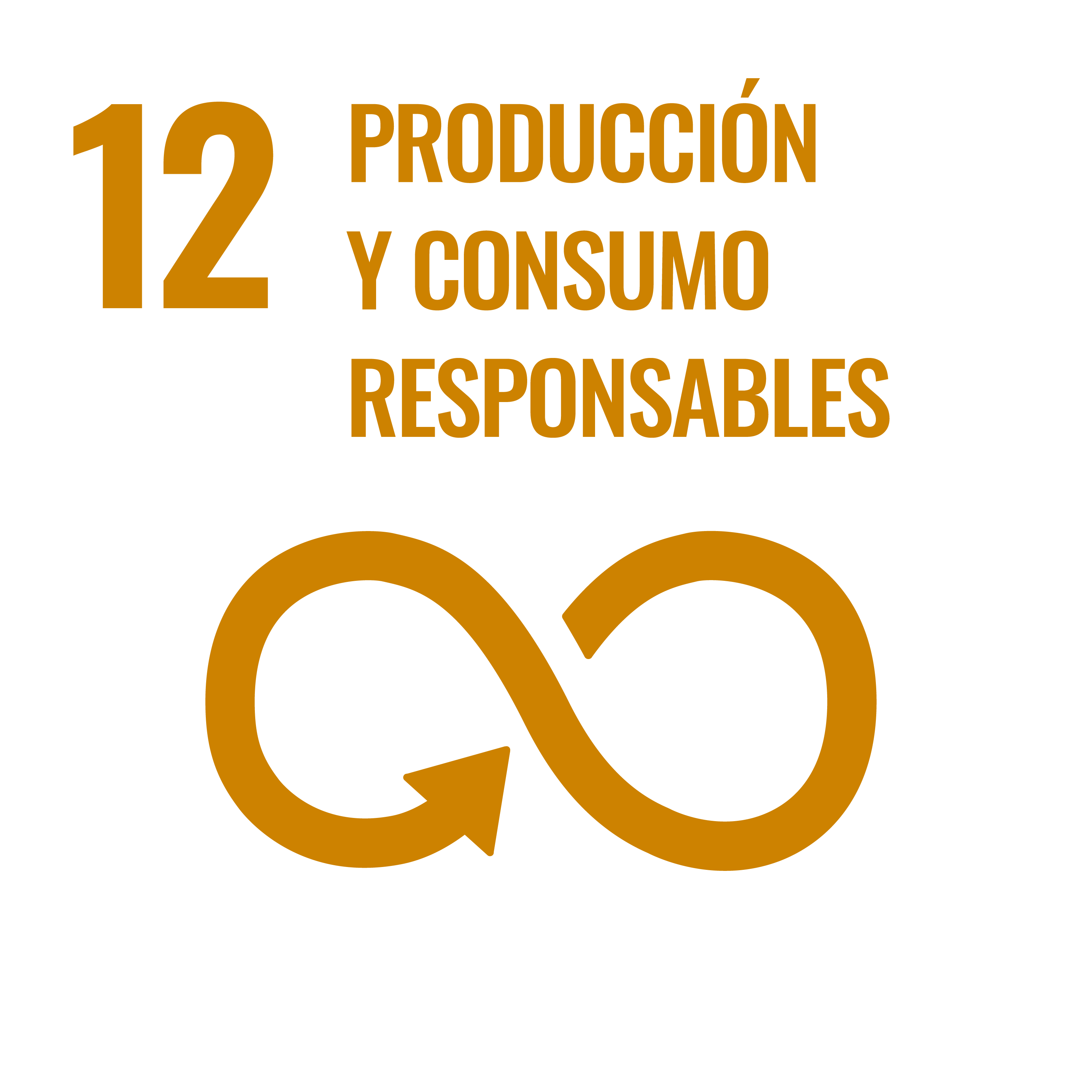 ODS 12: Producción y Consumo Responsables