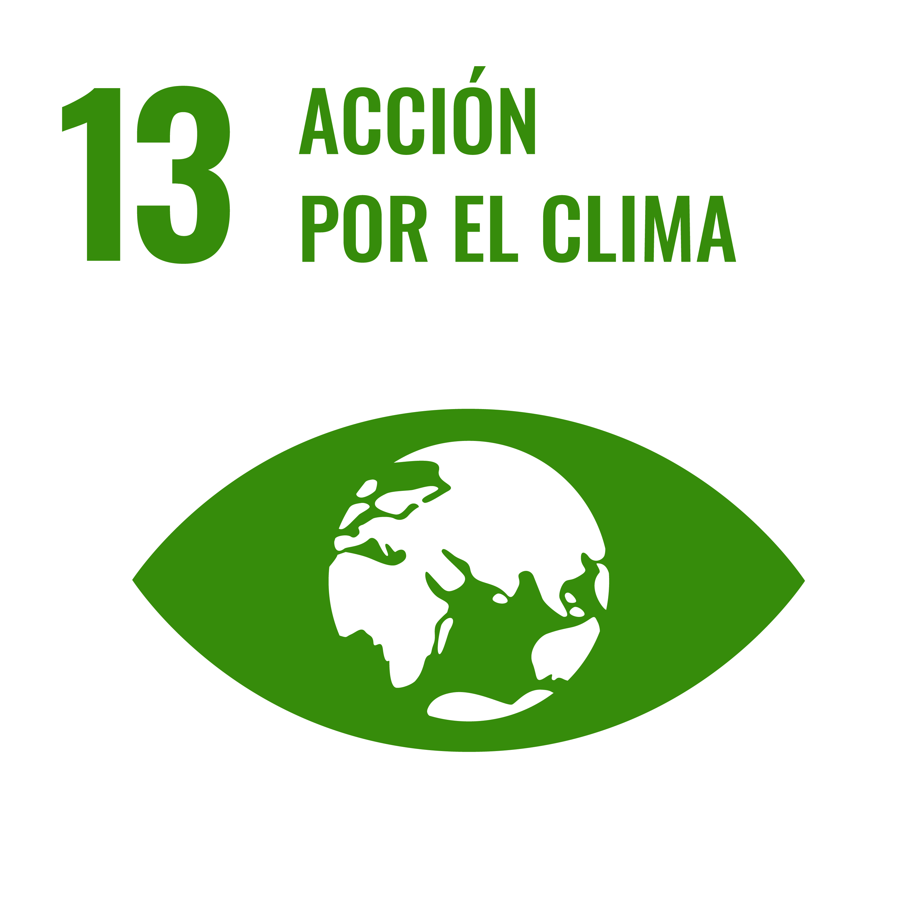 ODS 13: Acción por el Clima