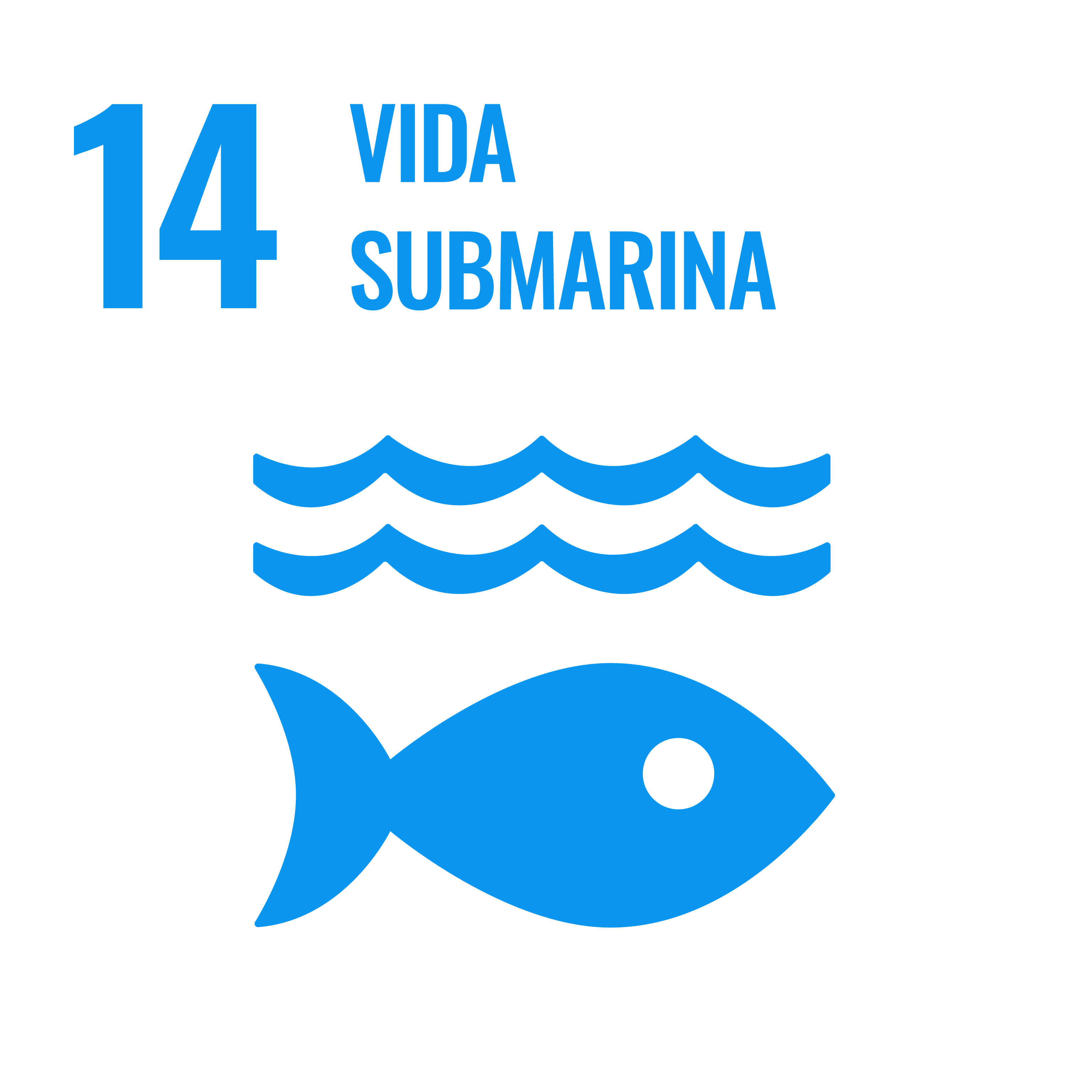 ODS 14: Vida Submarina