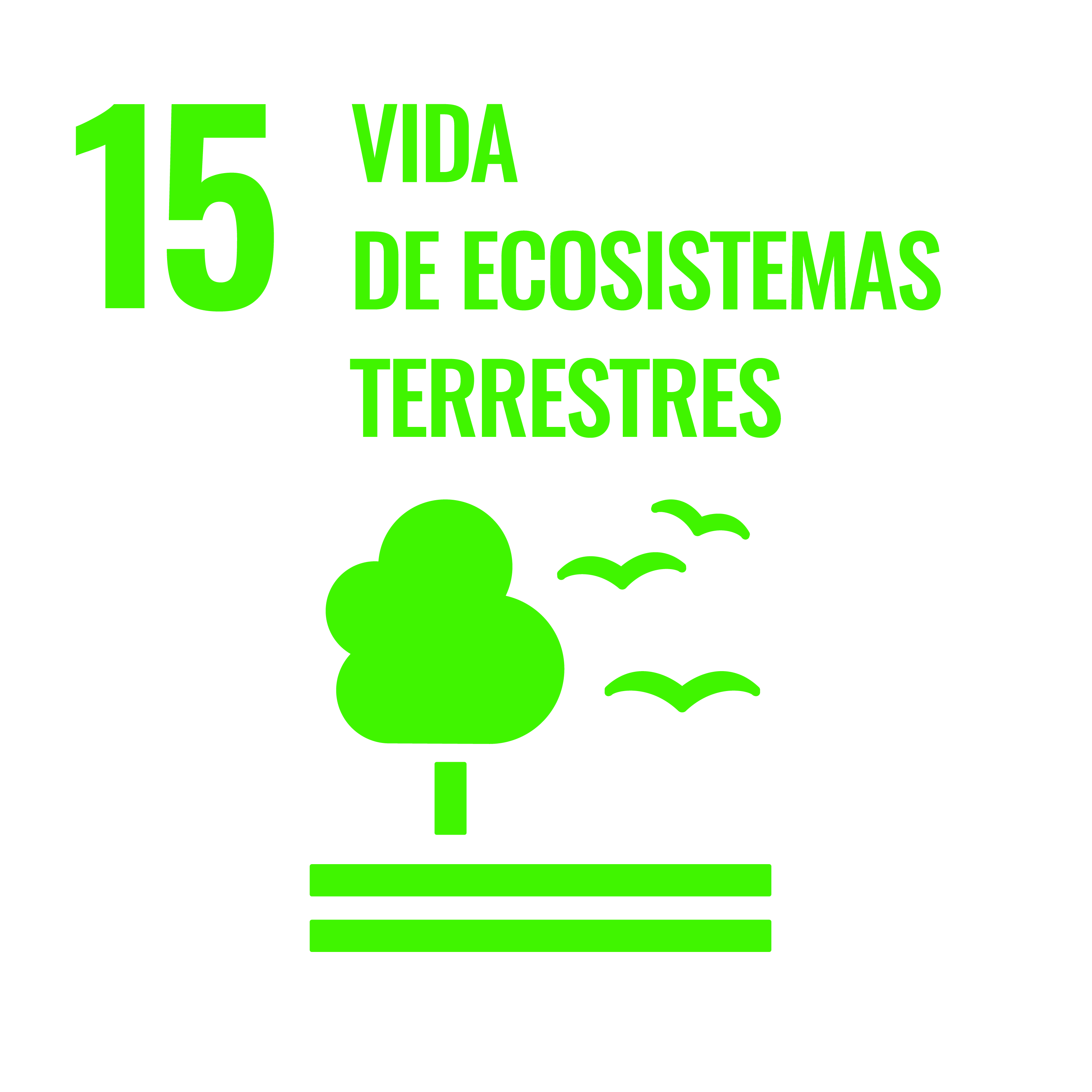 ODS 15: Vida de Ecosistemas Terrestres