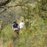 11262412_789305997832351_6627522977749750112_o